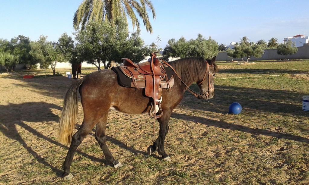 Menzel Churasco Djerba Aghir Bagian luar foto