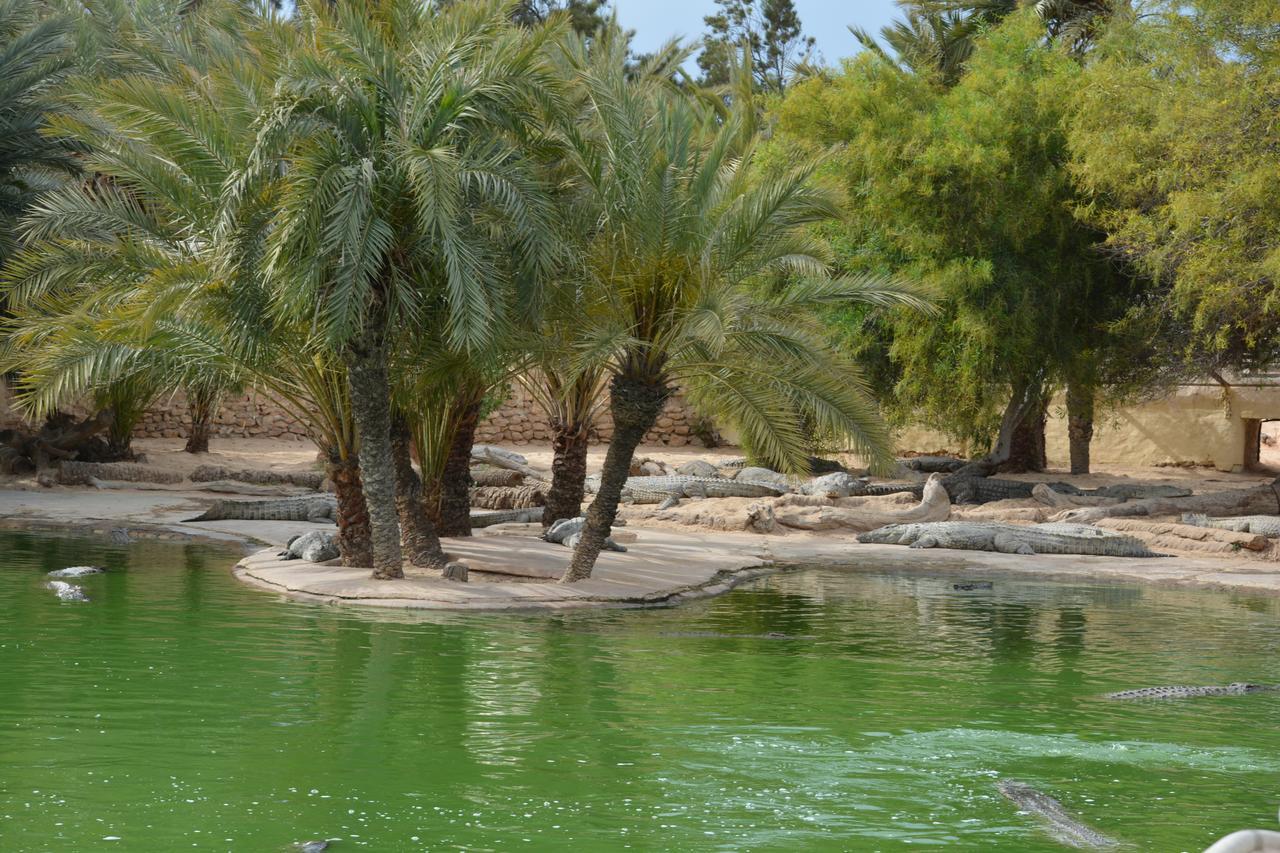 Menzel Churasco Djerba Aghir Bagian luar foto